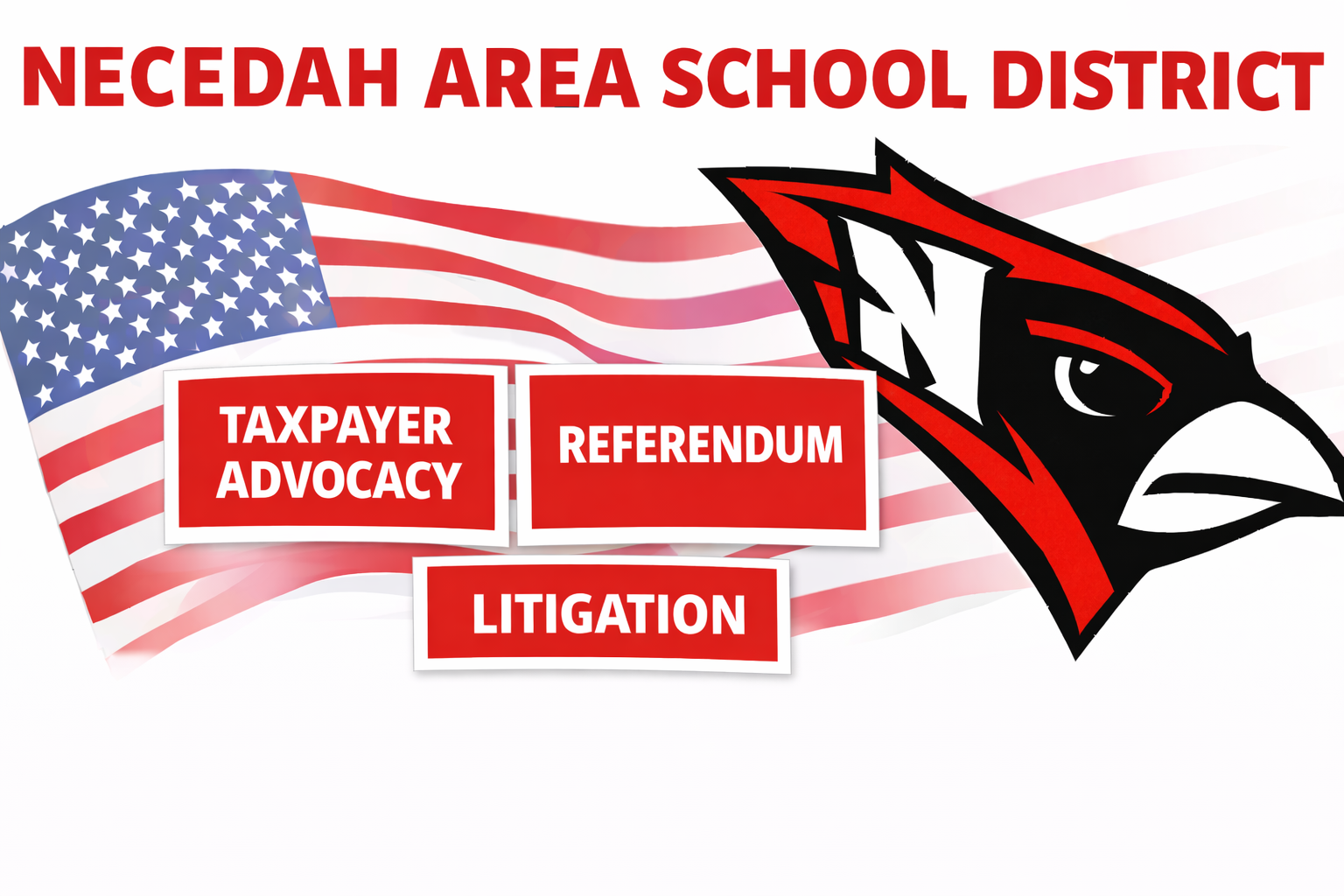 Taxpayer Referendum Litigation